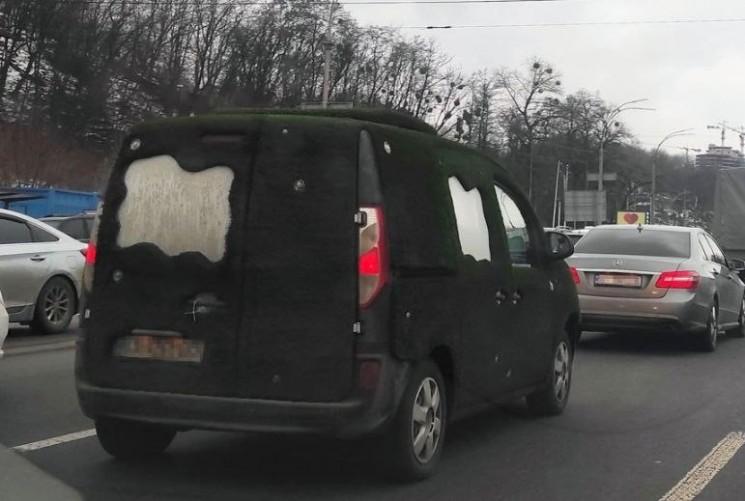 Києвом ганяє автівка, яка “заросла” мохом (ФОТО)