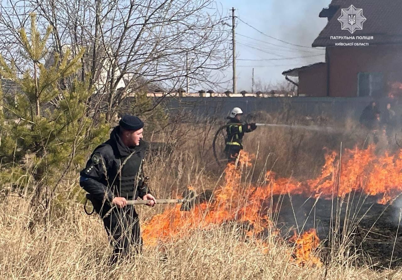 Паліть русню, а не траву. Киян закликати не палити сухостій та сміття
