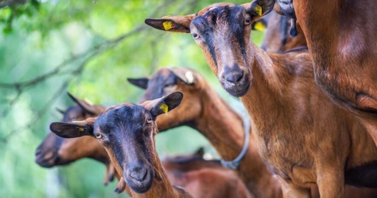На Київщині з’явилося “місце поховання”, де наступні 200 років краще не копати.