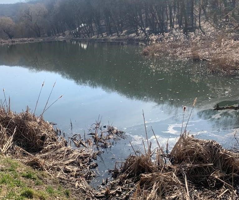 У Горіхуватських ставках “зашкалює” кількість забруднюючих речовин у воді
