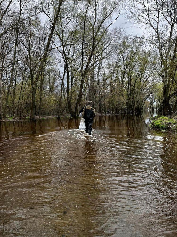 1 березня 10:00