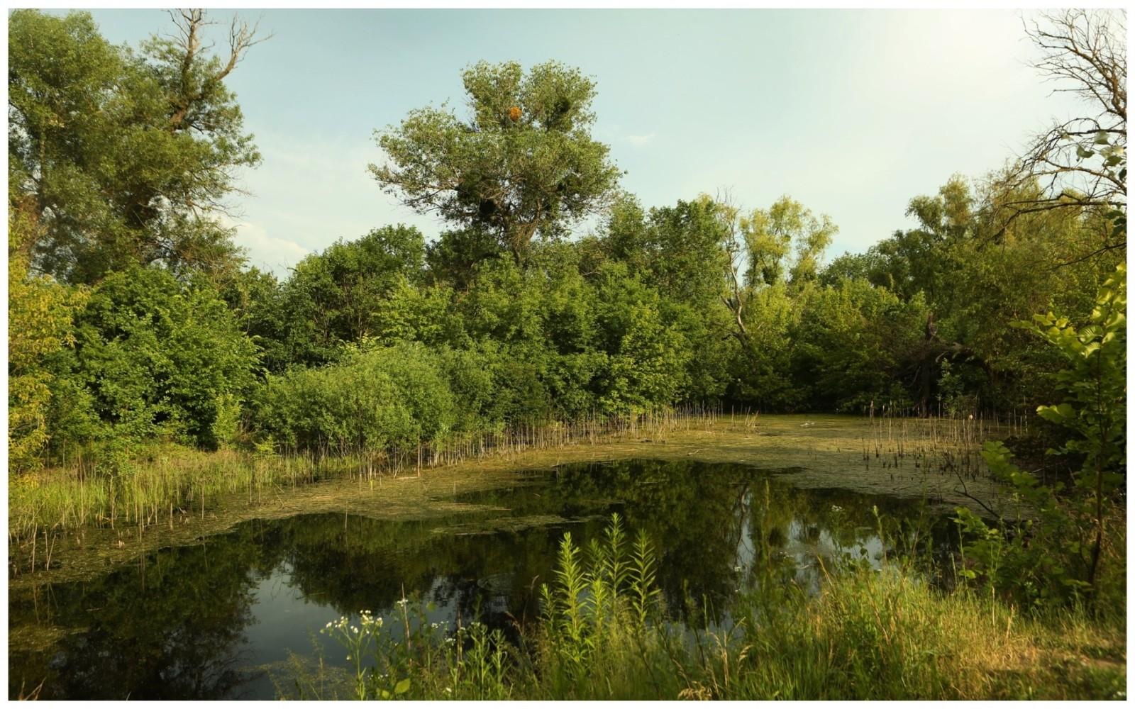 Забудовників мають бути вигнані з Галерного острова – у Київраді є відповідний проект рішення
