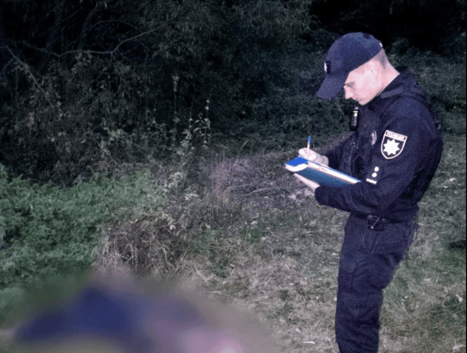 Напад шершнів: на Київщині комахи до смерті покусали чоловіка