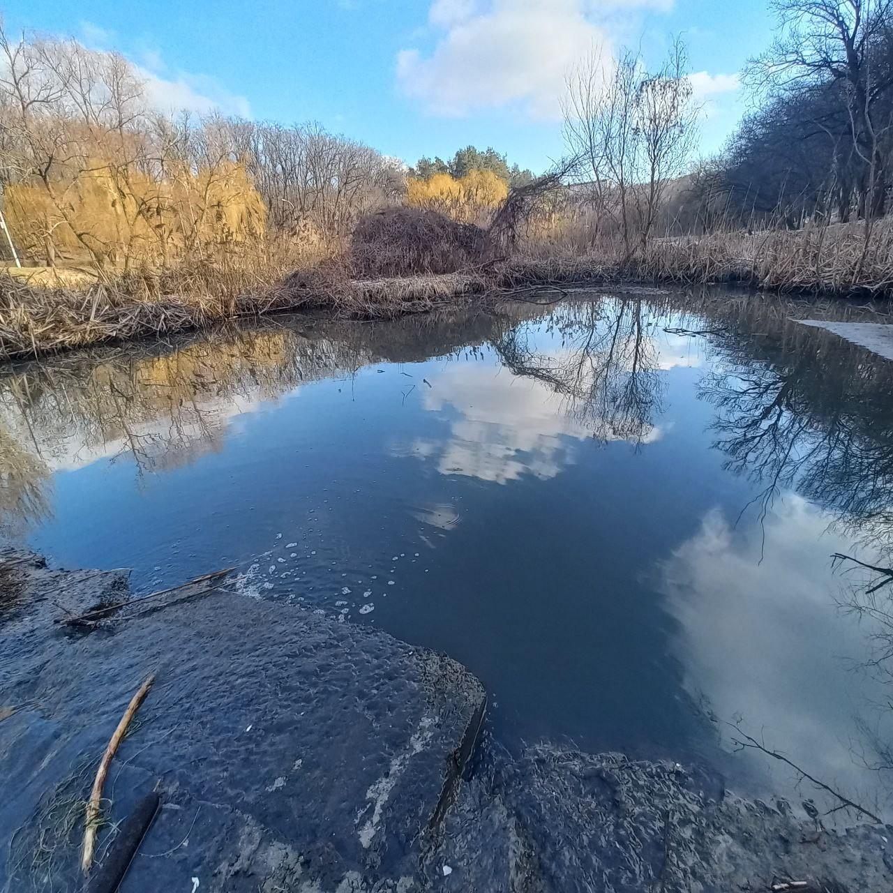 У Горіхуватських ставках знову виявили забруднення води – що відомо