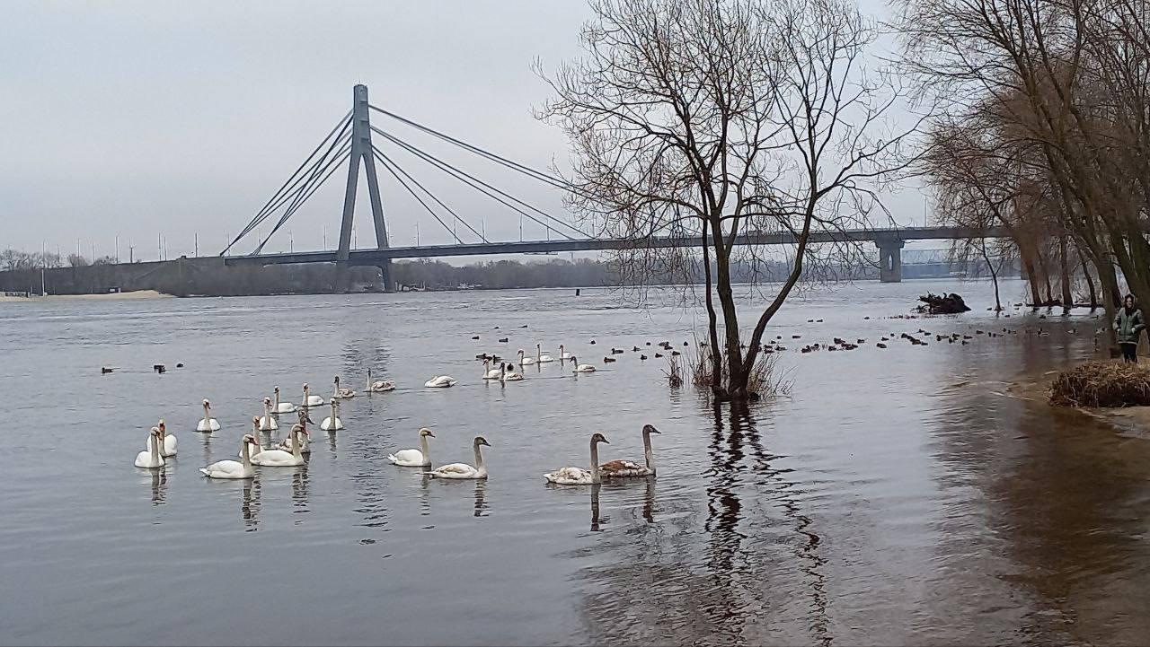 Без морозу, але з дощем: прогноз погоди у Києві на завтра