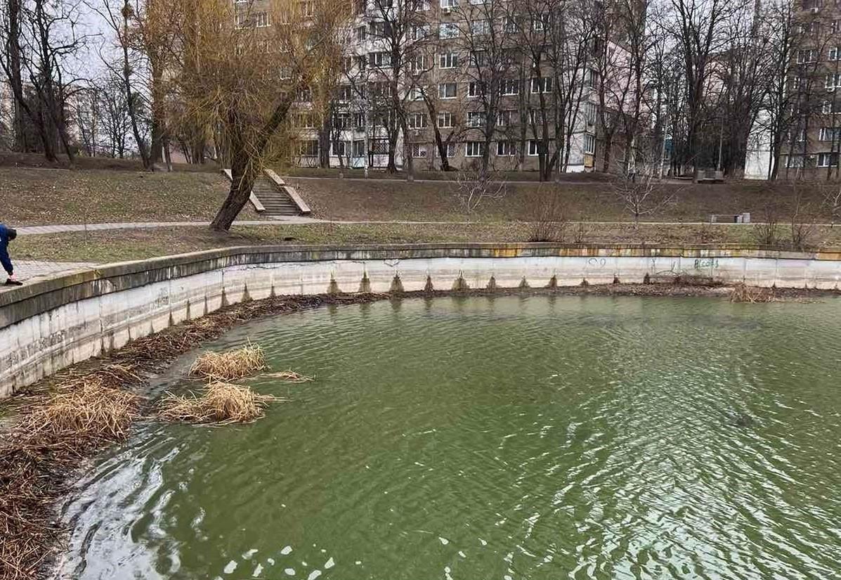 Комунальники провели аерацію в озері на Виноградарі, де загинула риба – що це дасть