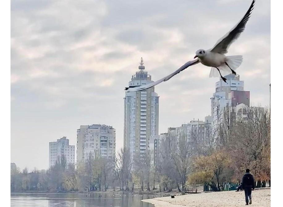 13 березня 15:00