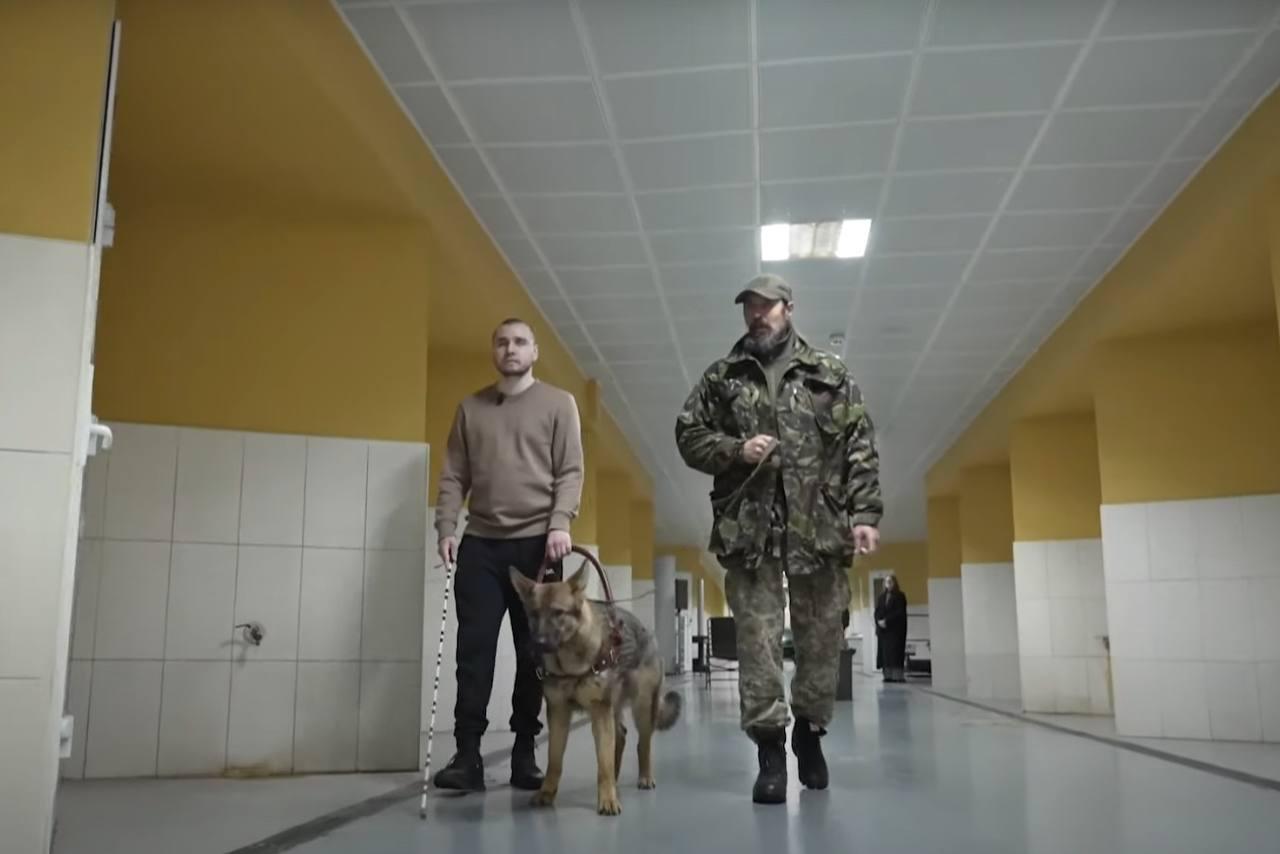 У колишній резиденції Януковича тренують собак для ЗСУ та допомоги людям