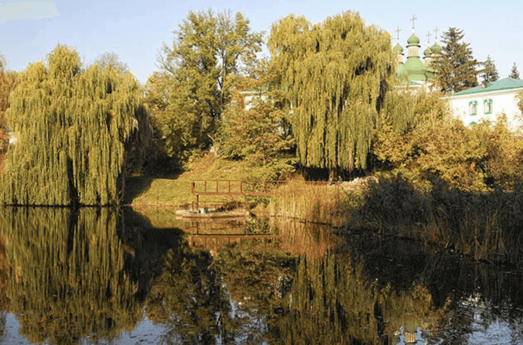 Кияни закликають захистити від забудови урочище Китаїв