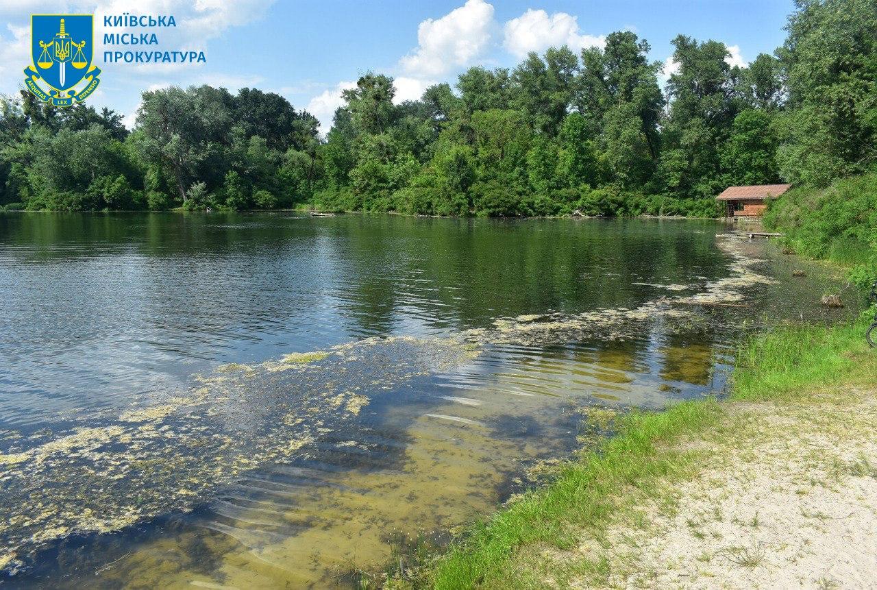 На Венеціанському острові у Гідропарку чоловік незаконно захопив ділянку та побудував там будиночок