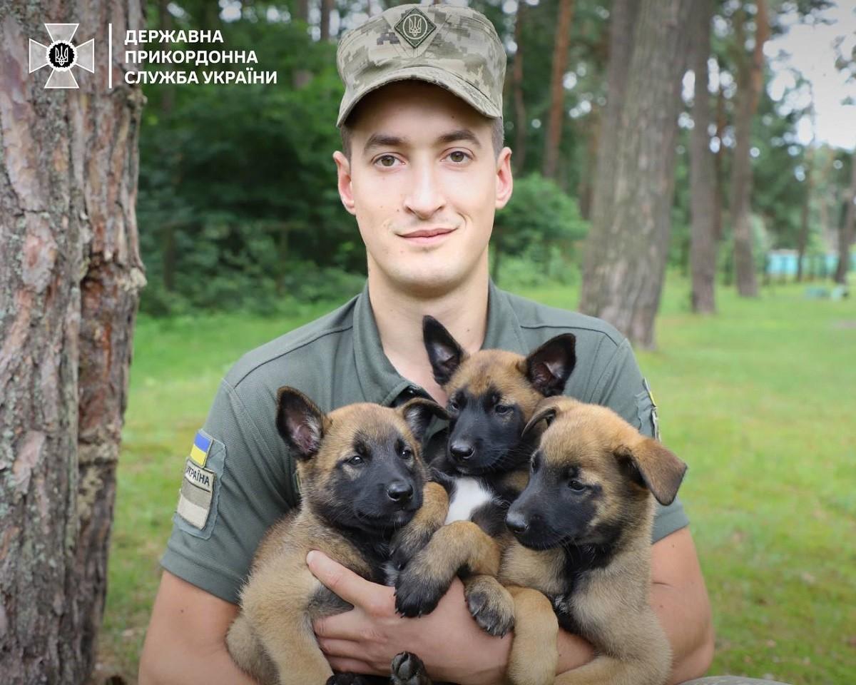 У його руках малі собачки стають помічниками прикордонників – досвід кінолога