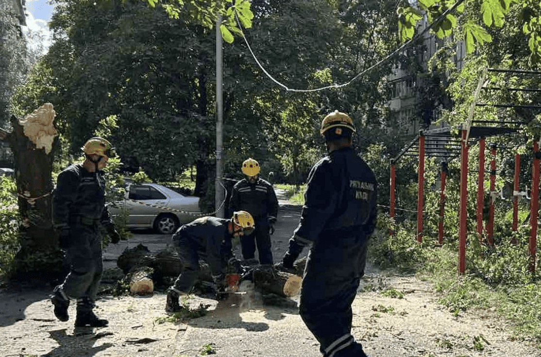 На Святошині дерево впало на дитячий майданчик та пошкодило лінії електропередачі