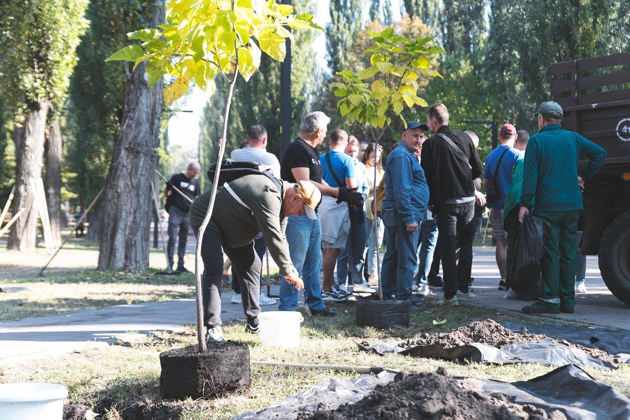 У додатку «Київ Цифровий» запустили опитування про толоки