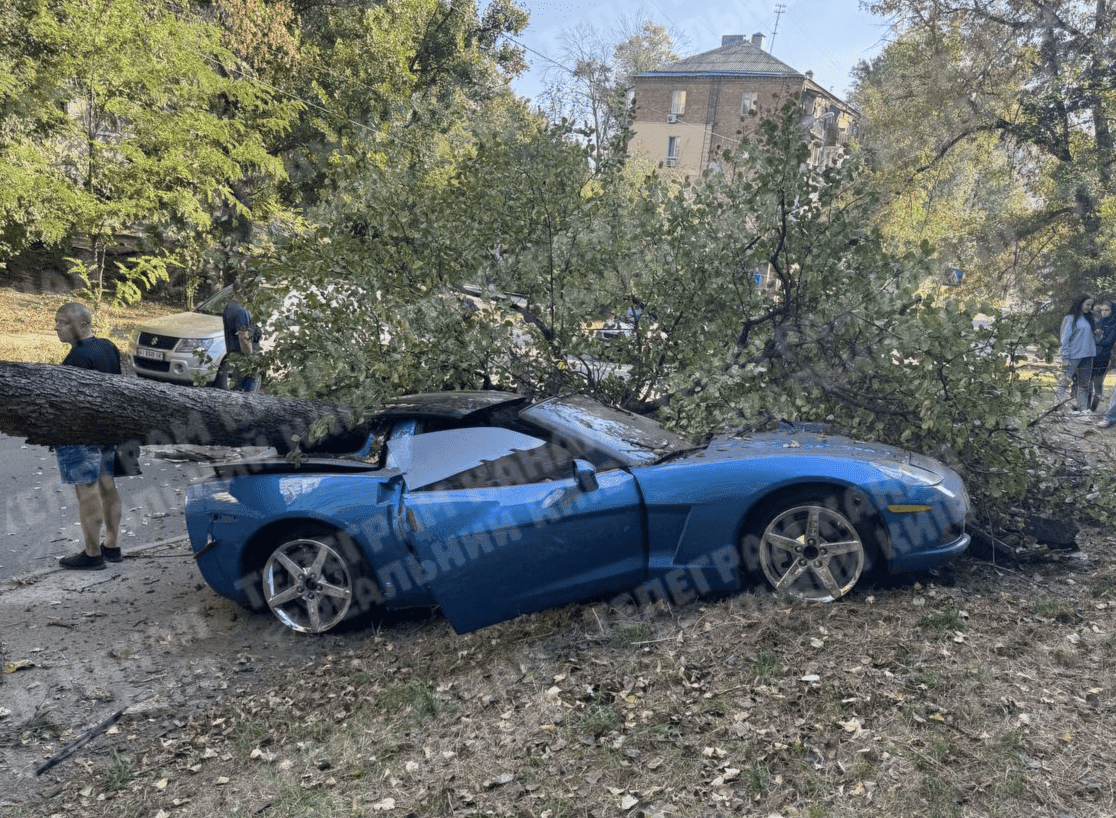 На Сирці дерево розчавило дорогий спорткар