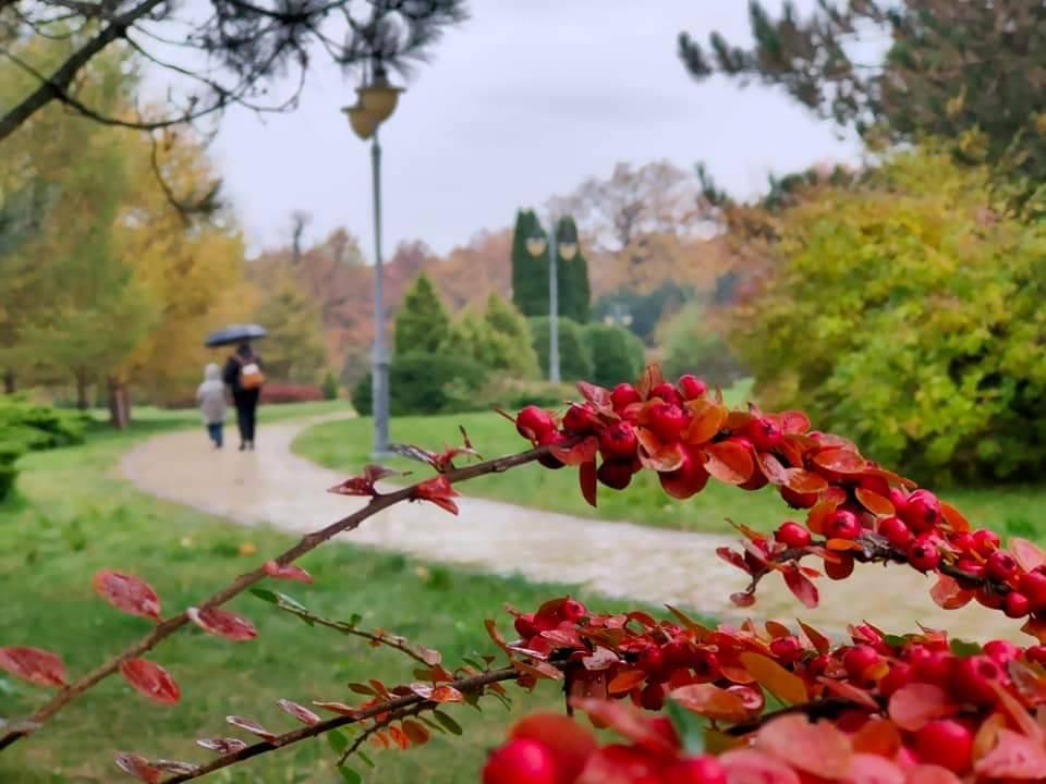 Дощі, заморозки та літнє тепло: детальний прогноз погоди на тиждень
