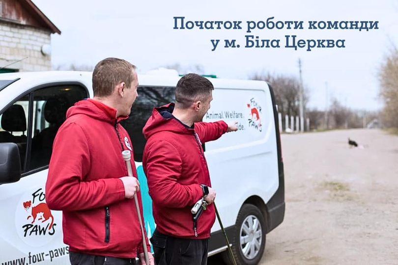Мобільна команда буде стерилізувати і вакцинувати безпритульних тварин у Білій Церкві