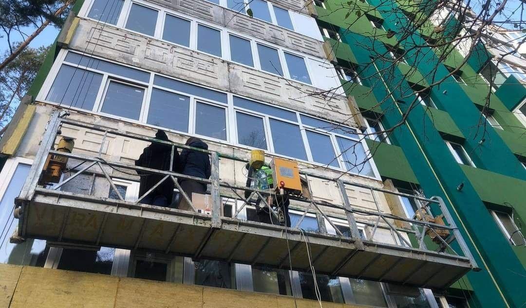 На Київщині при утепленні будинку виявили велику родину червонокнижних кажанів