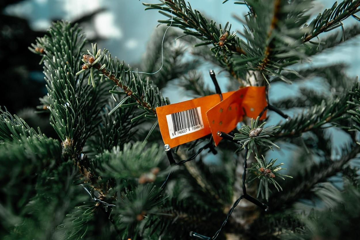 Де купити ялинку у Києві, щоб було безпечно для здоров’я і гаманця – локації