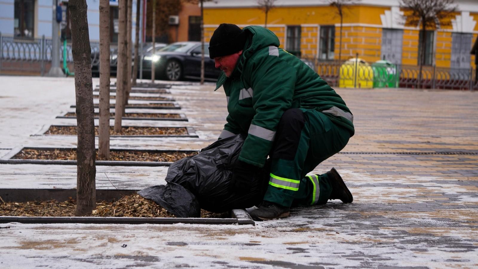 Дерева і кущі у Києві почали захищати від технічної солі, якою взимку обробляють дороги