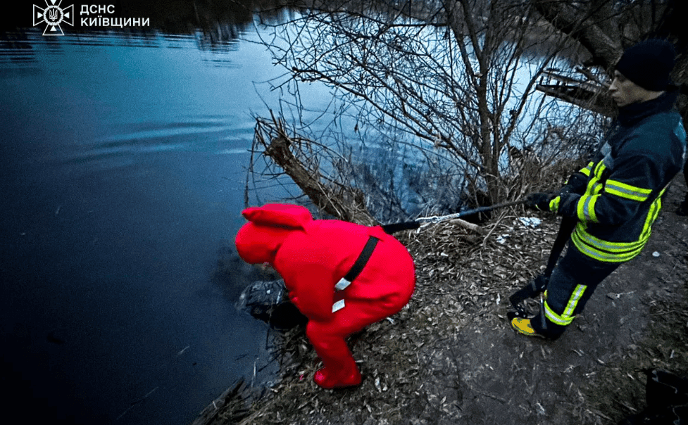Під Києвом у ставку втопився 77-річний чоловік: обставини трагедії з’ясовують