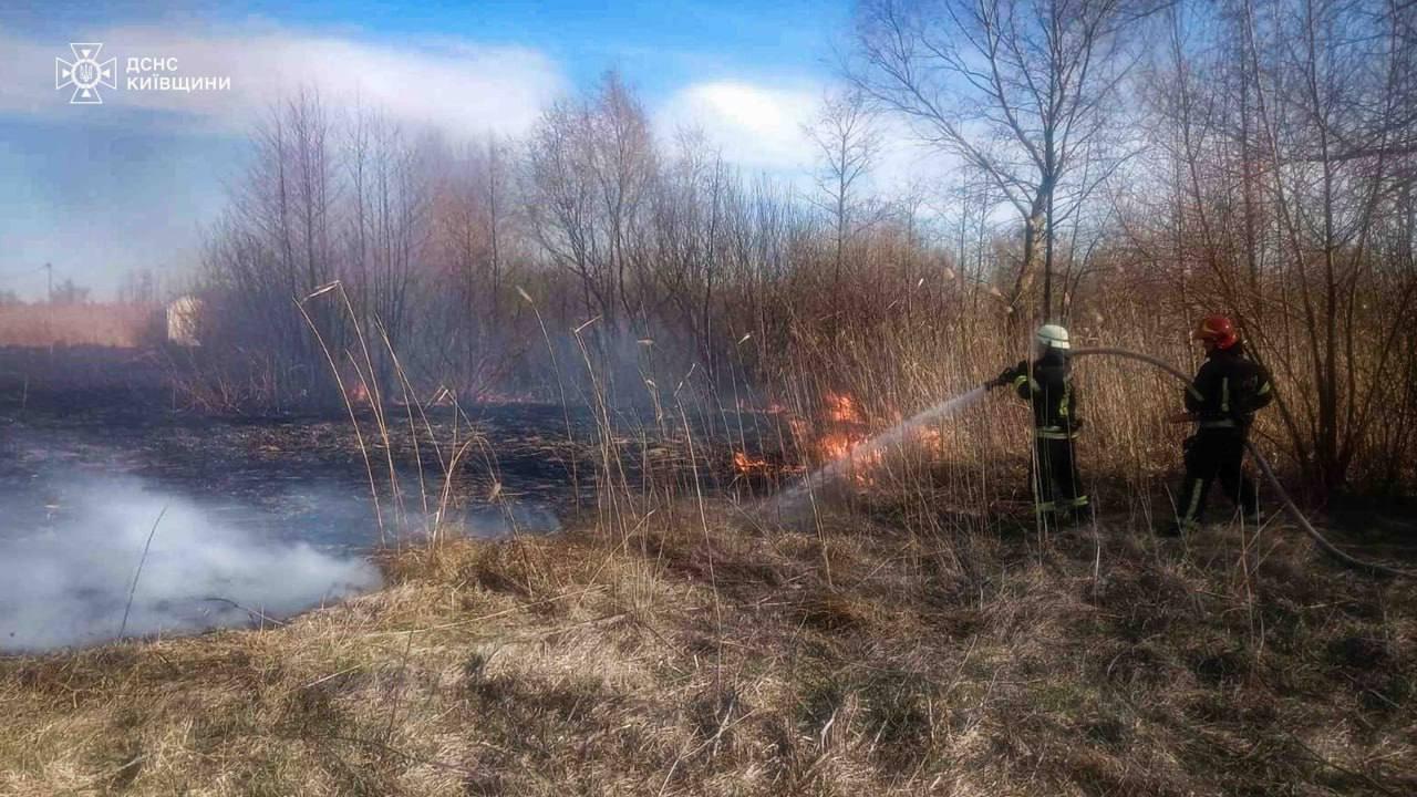 На Київщині через підпал сухостою загинули двоє людей