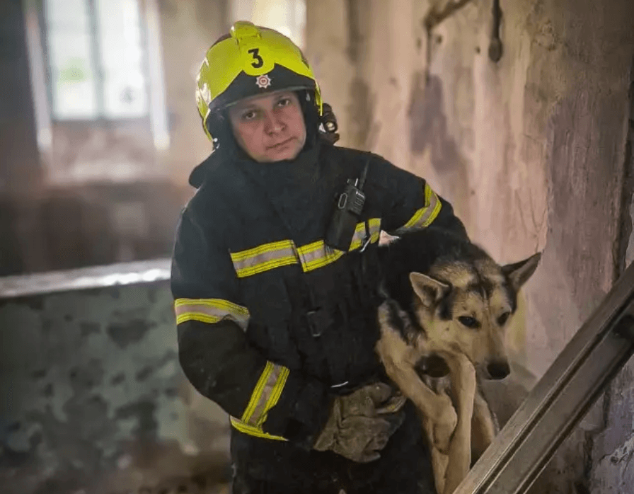 У дендропарку «Олександрія» врятували двох собак, які впали у 12-метрову яму