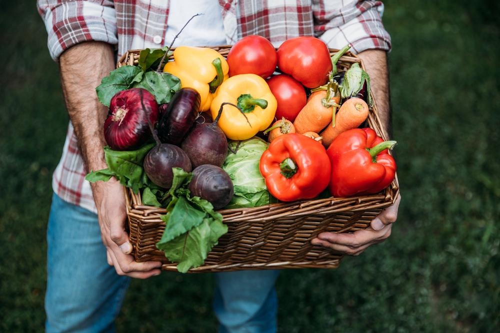 Де у Києві можна купити фермерські продукти: локації четверга