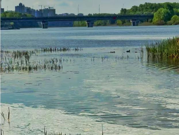 Сморід у повітрі та маслянисті сірі плями – хто врятує річку Дніпро?