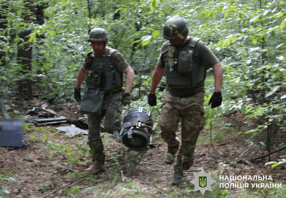У лісосмузі під Києвом після нічної атаки знайшли два ворожі БпЛА