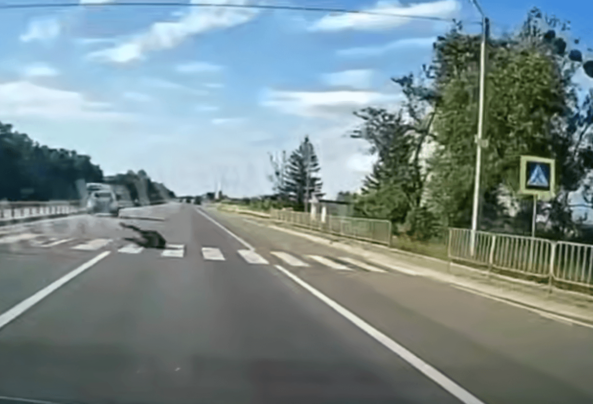 На Львівщині патрульна автівка на великій швидкості збила хлопчика на пішохідному переході