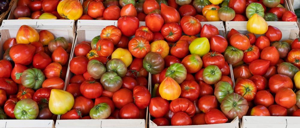 Де у Києві сьогодні проходять продовольчі ярмарки: локації