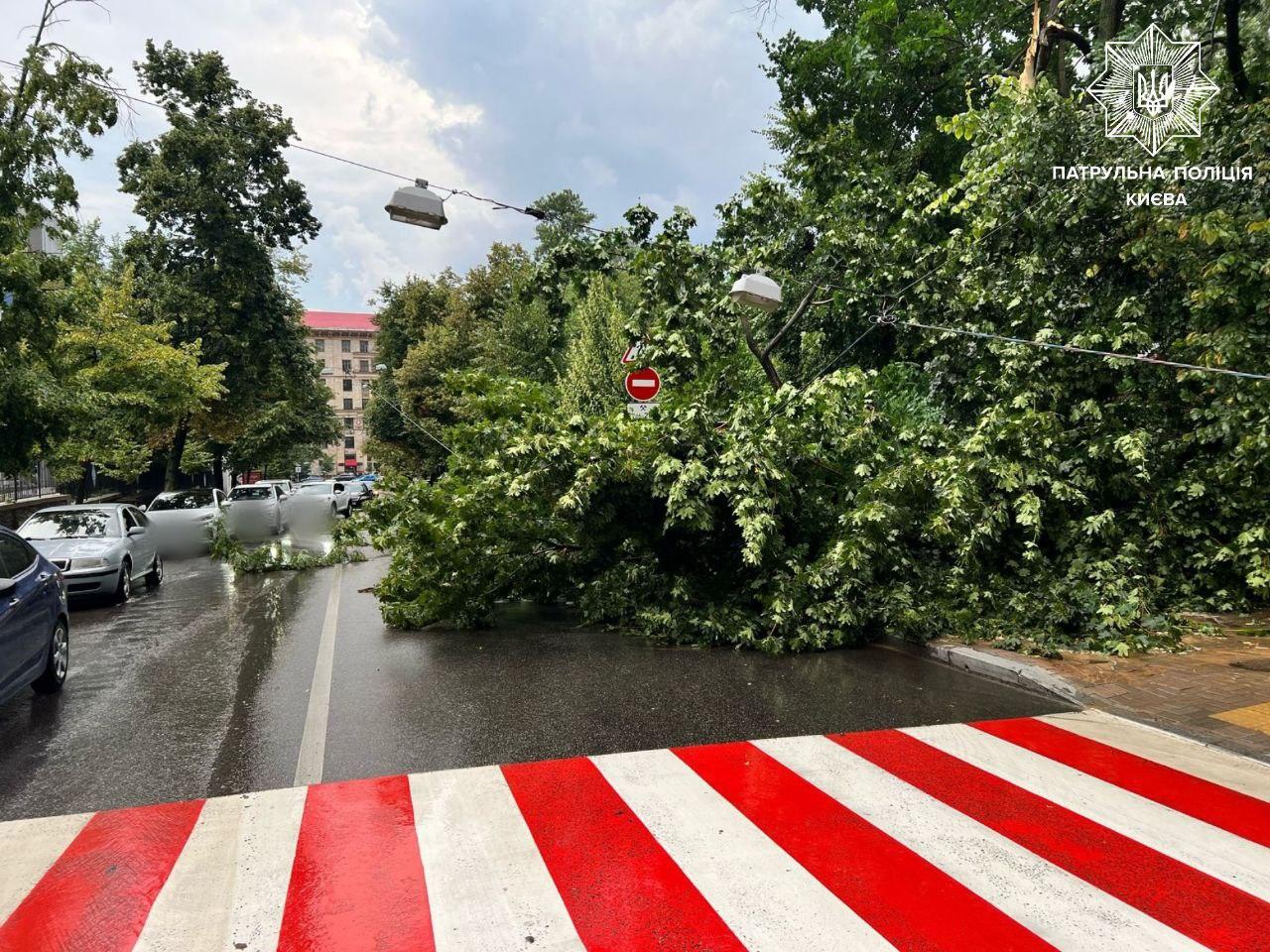 Патрульні повідомляють про затори на кількох вулицях через падіння дерев