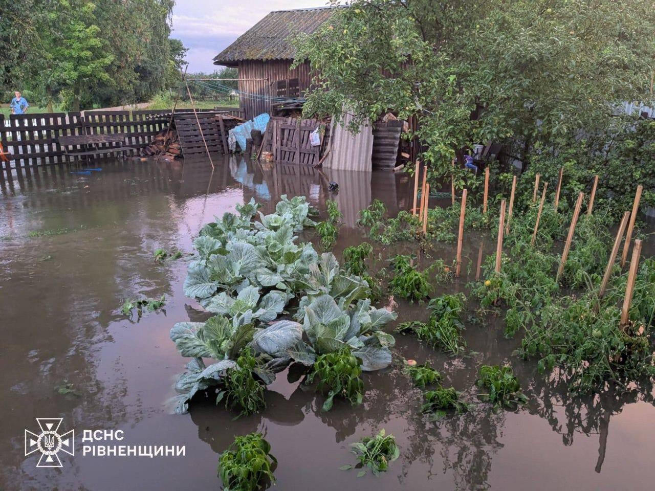 Затоплені вулиці й обійстя, повалені дерева: негода наробила лиха мешканцям кількох регіонів (відео)