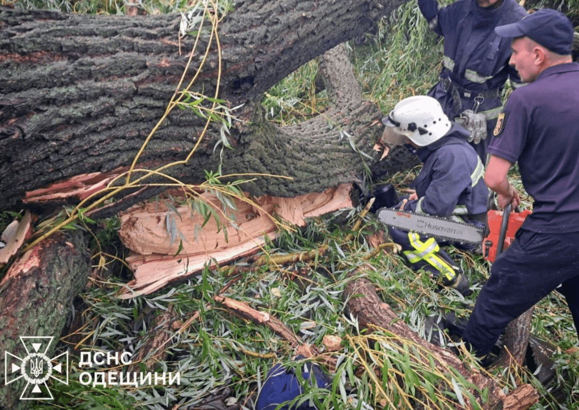 На Одещині під час негоди дерево впало на намет із підлітками: один хлопець загинув