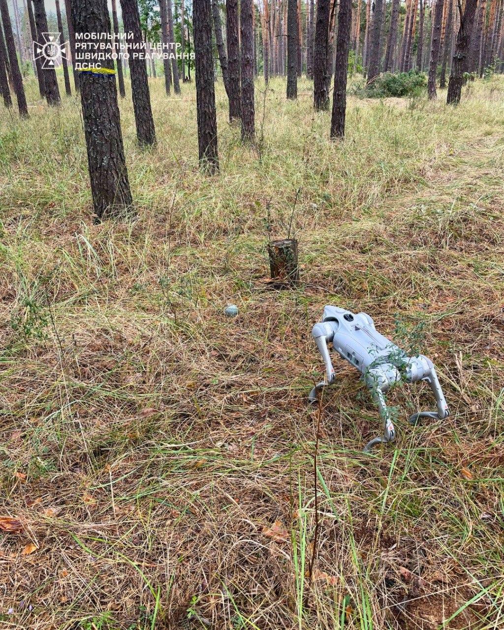 Робот-пес «винюхав» касетні боєприпаси після обстрілу на Київщині
