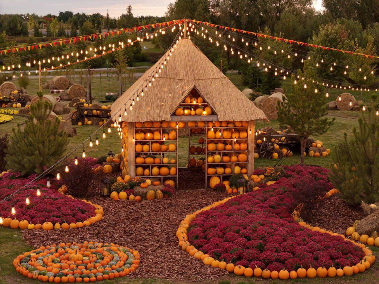 У «Добропарку» відкрили гігантську гарбузову локацію
