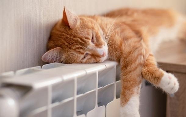 У містах на Київщині починають опалювальний сезон – в будинках холодно