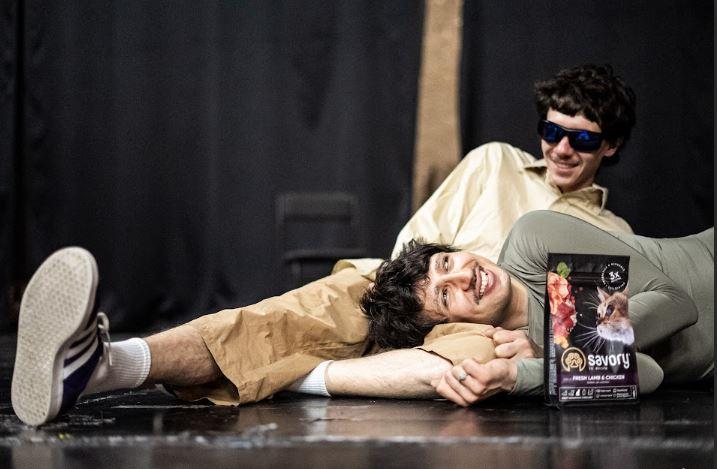 Тварини вчать любити: “Дикий театр” запрошує на прем’єру вистави про вуличного кота