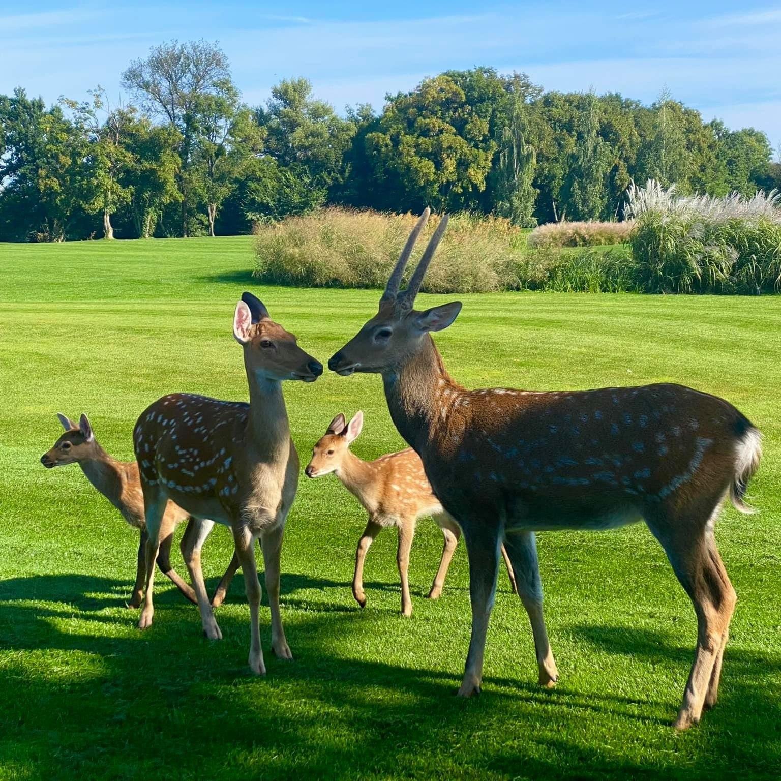 6 локацій на лоні природи поблизу Києва, які варто відвідати