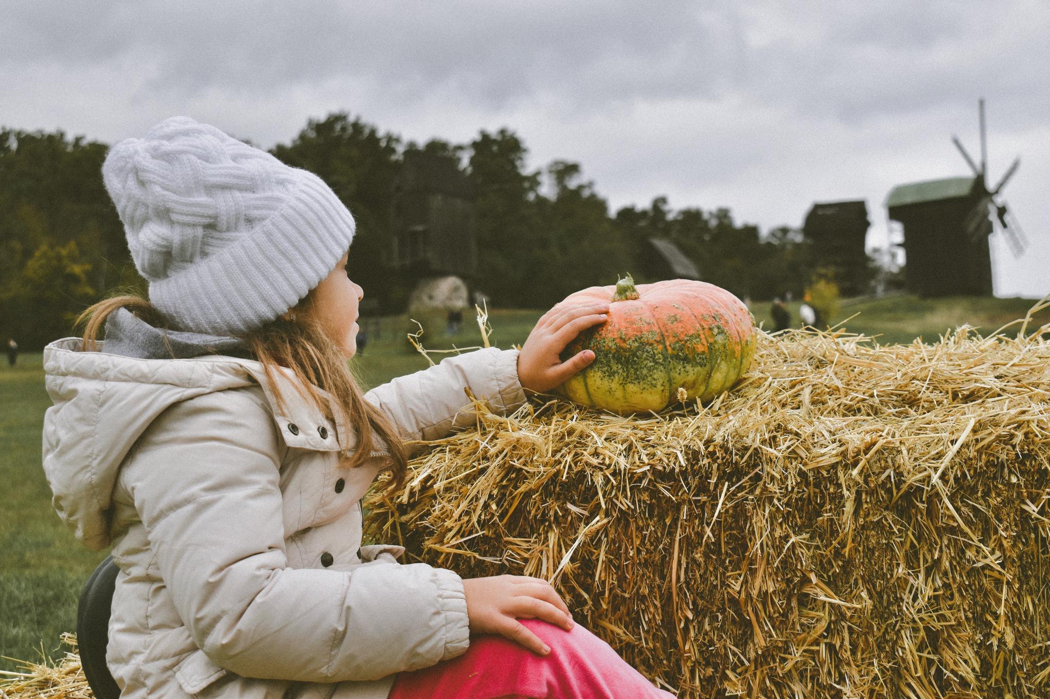 Символ осені об’єднає родини: Музей просто неба  запрошує на «Гарбуз Fest»