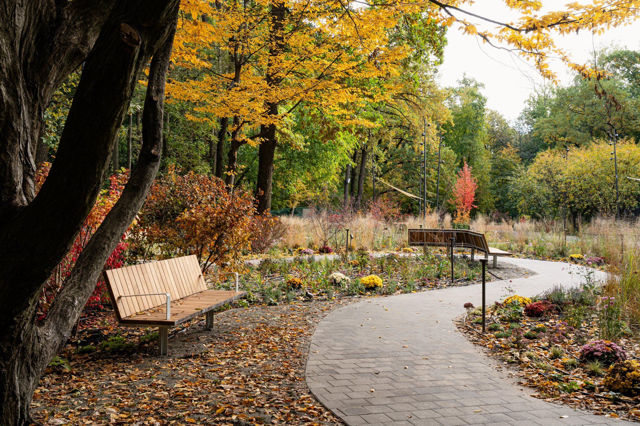 Емоційна підтримка та відновлення: на ВДНГ відкрився Терапевтичний сад