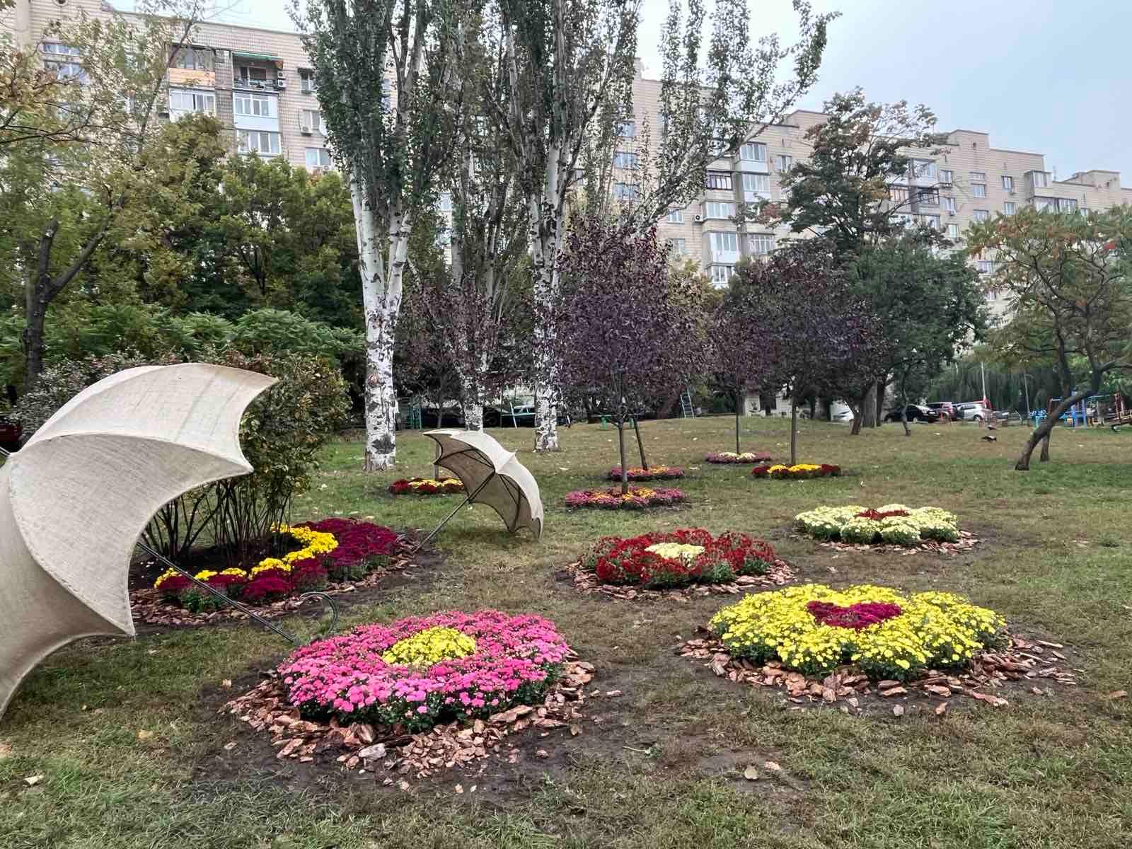 Сквер у Печерському районі прикрасила фотозона з хризантем