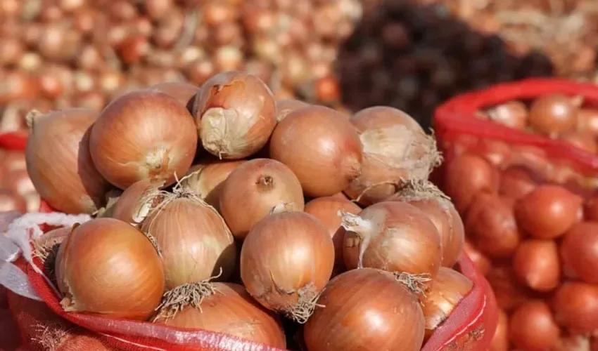 Ціни на популярний овоч в Україні впали до чотирирічного мінімуму