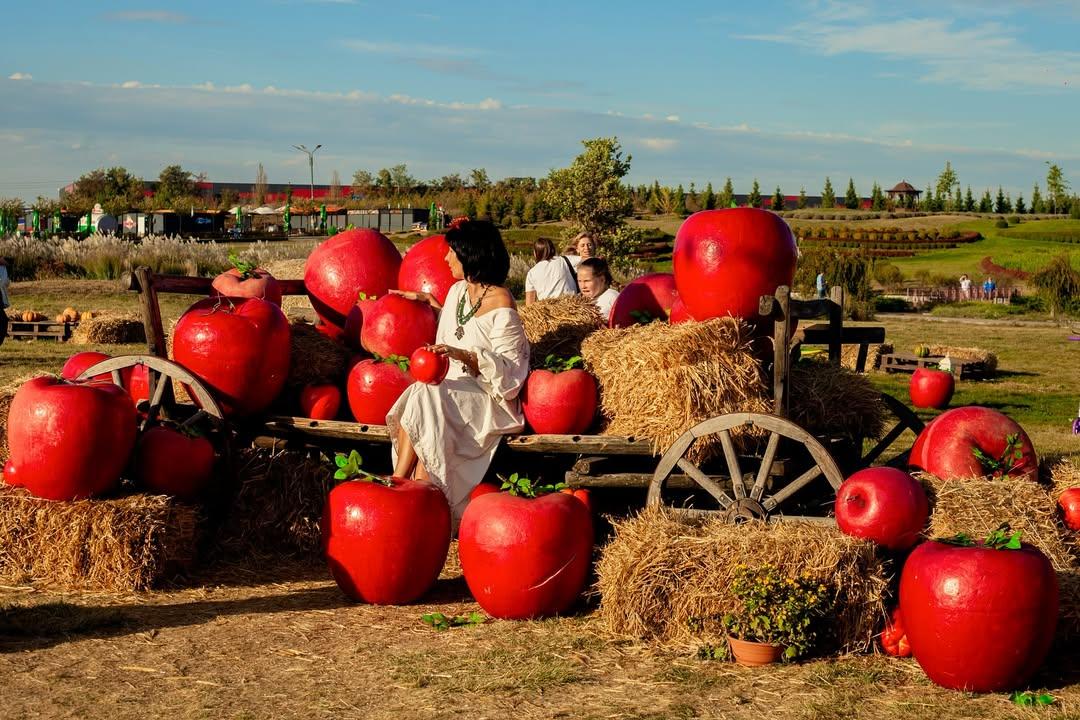 Кращі 5 маршрутів для прогулянок під Києвом
