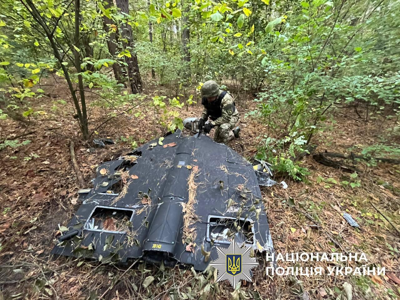 Уламки ворожого БпЛА з нездетонованою бойовою частиною виявили в лісосмузі Дарницького району Києва
