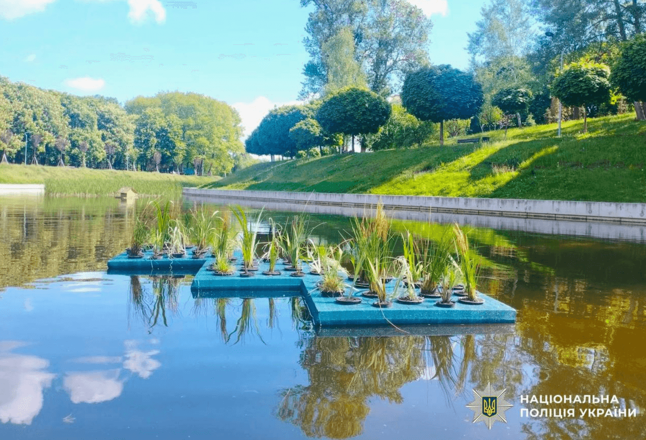 У Києві посадовець «Київзеленбуду» нажився на реконструкції парку «Орлятко»