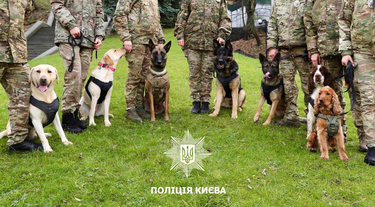 Службові собаки поліції відшукали у Києві понад 50 кг наркотиків з початку року