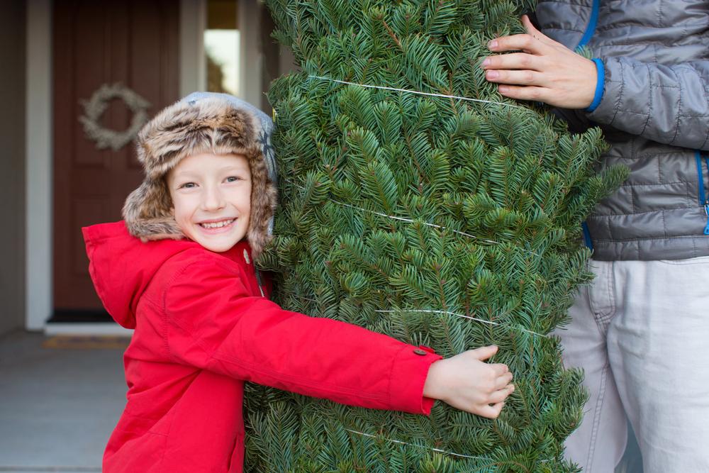У столичному метро розповіли, як можна перевезти новорічну ялинку