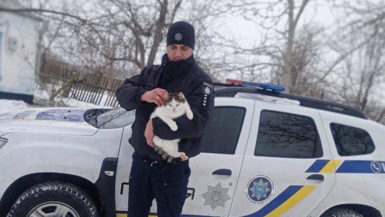 Поліція Києва закликала містян допомогти безпритульним тваринам пережити люті морози