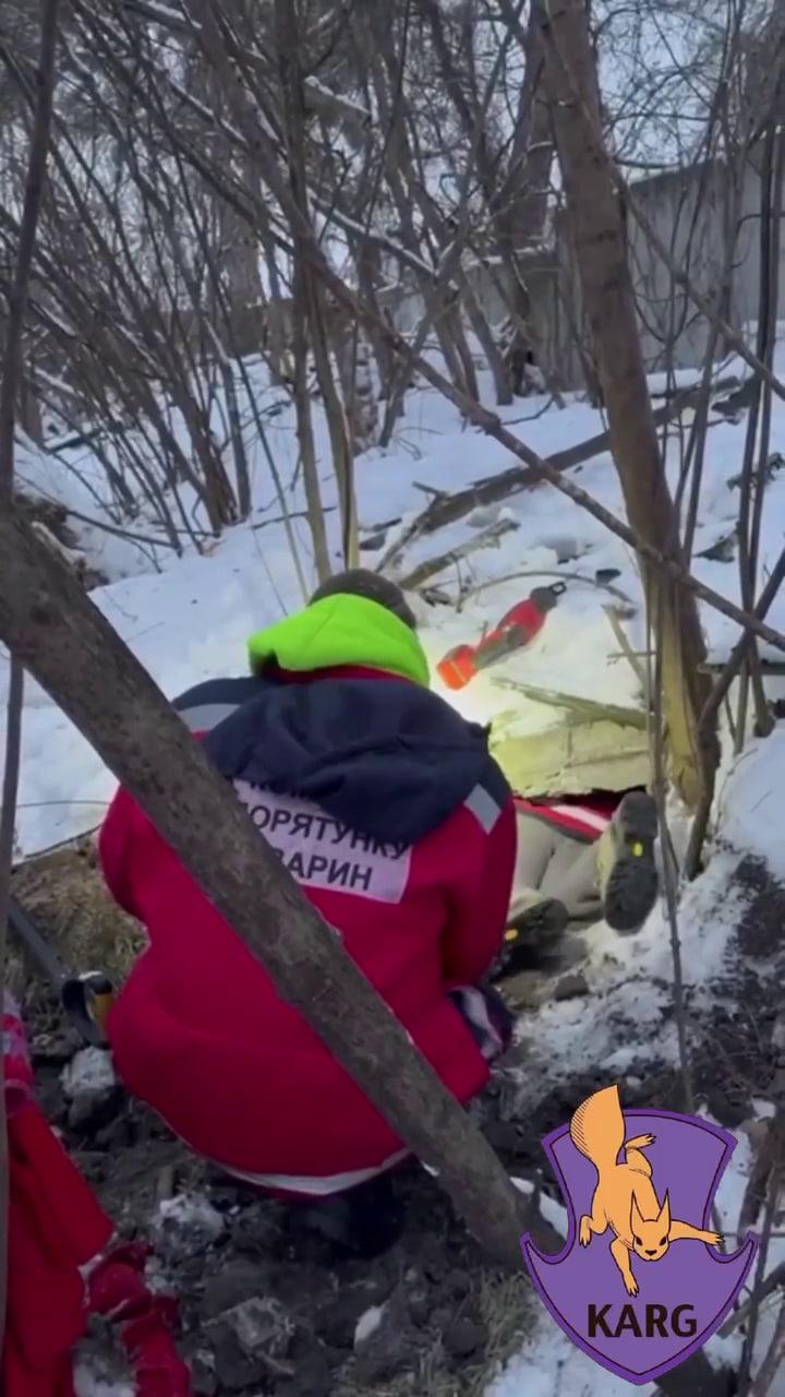 Урок людяності від дитини: хлопчик врятував безпритульну собаку і її цуценят